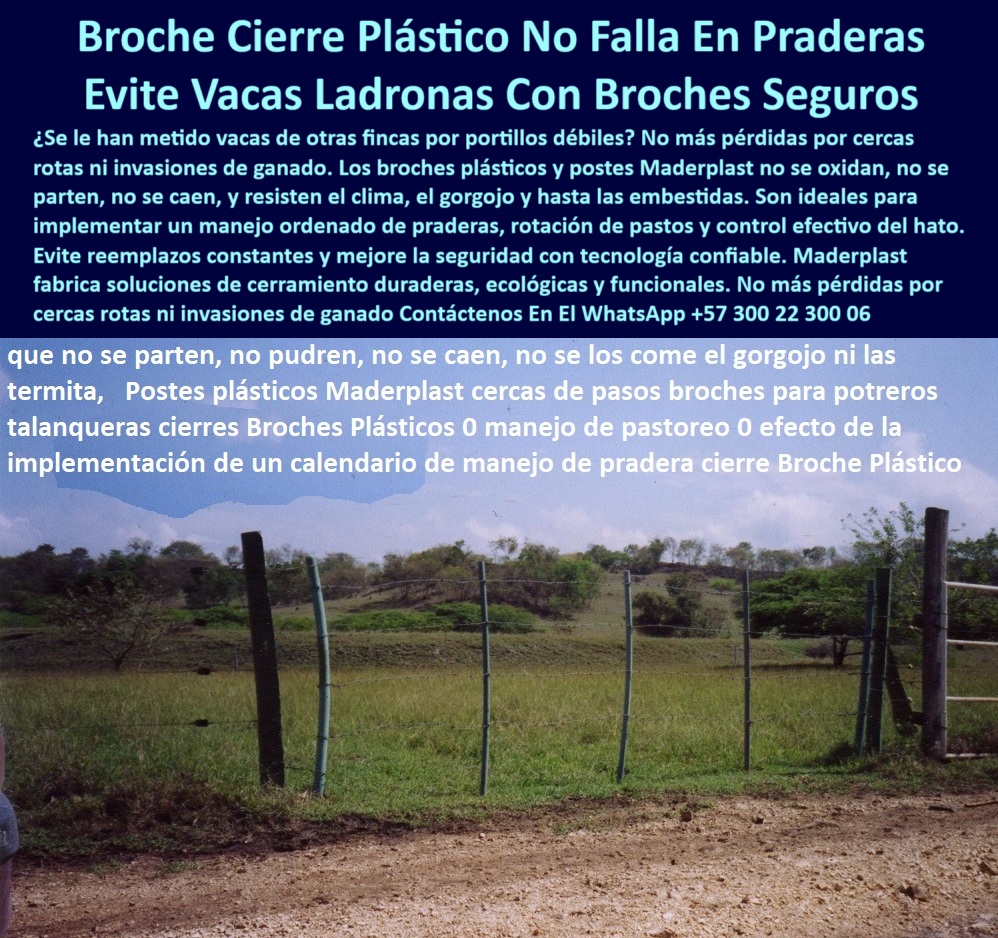 Broches Portón Plástico Para Ganado Puerta De Hato Ganadero Puerta Maderplast 0 Puerta Plástica para Corral Broche de Corral División Portátil para Corrales Reja para ganado que se abra rápido Cierre Modular de Pastoreo PP 0 Broches Portón Plástico Para Ganado Puerta De Hato Ganadero Puerta Maderplast 0 Puerta Plástica para Corral, - Broche de Corral, - División Portátil para Corrales, - Reja para ganado que se abra rápido, - Cierre Modular de Pastoreo PP