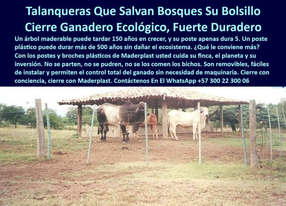 Broches Portón Plástico Para Ganado Puerta De Hato Ganadero Puerta Maderplast 0 Reja Ganadera Removible Paso Controlado para Ganadería Broche para encerrar vacas Tranca para ganado fácil de instalar Paso Inteligente broche 0 Broches Portón Plástico Para Ganado Puerta De Hato Ganadero Puerta Maderplast 0 Reja Ganadera Removible, - Paso Controlado para Ganadería, - Broche para encerrar vacas, - Tranca para ganado fácil de instalar, - Paso Inteligente broche