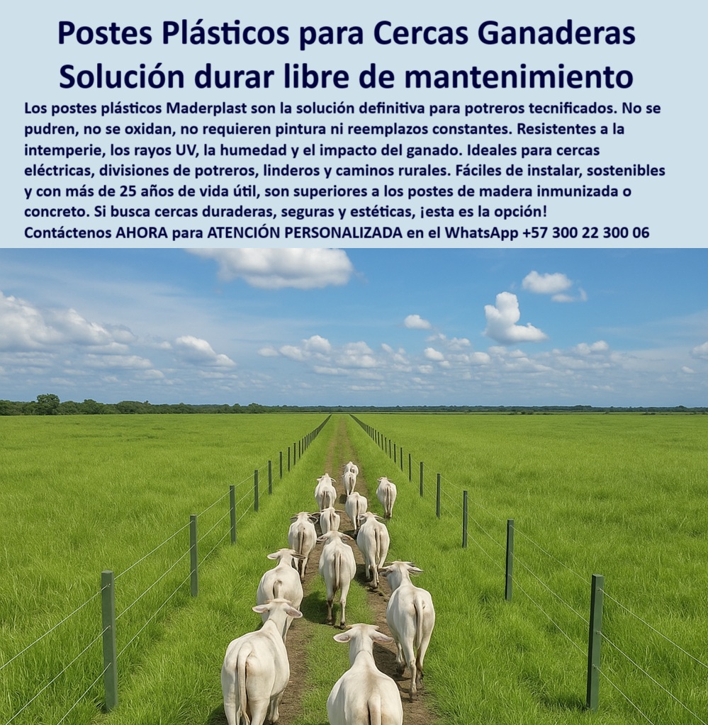Cerca Económica Para Potreros Postes Para Linderos Lineamientos Poste Maderplast 0 cercas plásticas para cultivos sostenidos broche portillo seguro poste plástico decorativo exterior Qué postes son mejores que los de maderas 0 Cerca Económica Para Potreros Postes Para Linderos Lineamientos Poste Maderplast 0 cercas plásticas para cultivos sostenidos, - broche portillo seguro, - poste plástico decorativo exterior, - Qué postes son mejores que los de maderas