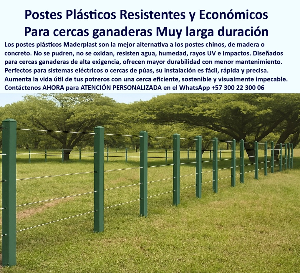 Cerca Económica Para Potreros Postes Para Linderos Lineamientos Poste Maderplast 0 postes para cercas ganaderas resistentes al agua 00 Cerca Económica Para Potreros Postes Para Linderos Lineamientos Poste Maderplast 0 postes para cercas ganaderas resistentes al agua, - 00