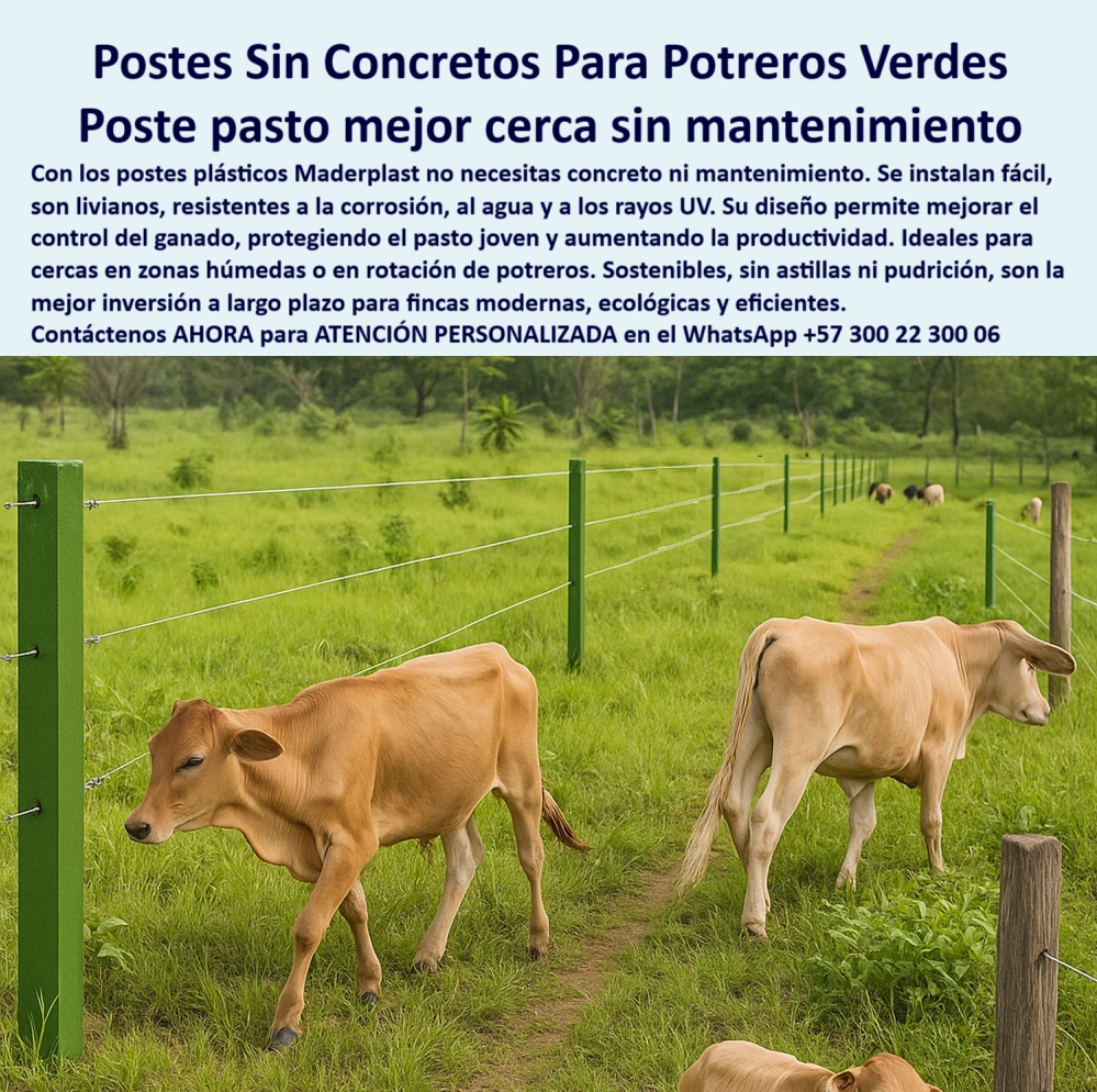 Cerca Económica Para Potreros Postes Para Linderos Lineamientos Poste Maderplast 0 postes plásticos para instalaciones sin concreto cercas para mejorar la calidad del pasto poste plástico anticorrosivo poste plástico extensión 0  Cerca Económica Para Potreros Postes Para Linderos Lineamientos Poste Maderplast 0 postes plásticos para instalaciones sin concreto cercas para mejorar la calidad del pasto poste plástico anticorrosivo poste plástico extensión 0 