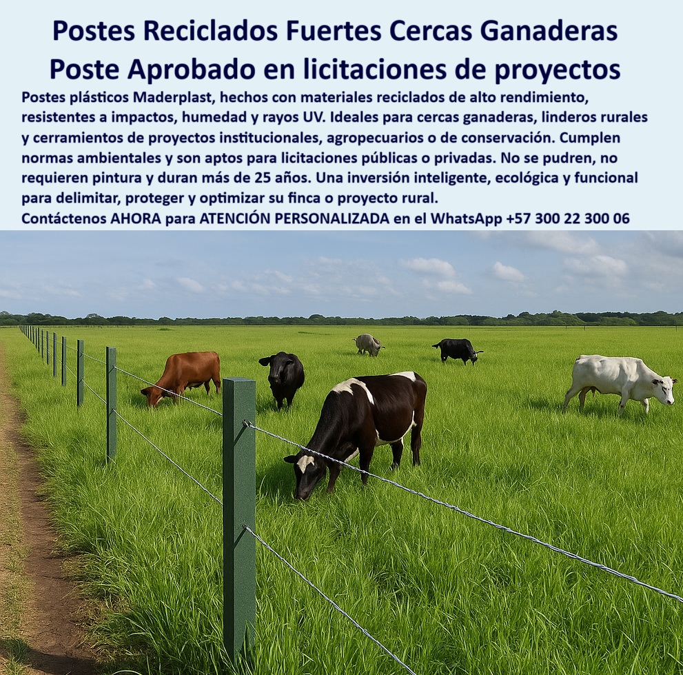 Cerca Económica Para Potreros Postes Para Linderos Lineamientos Poste Maderplast 0 postes reciclados para licitaciones de cerramientos cercas ganaderas 00 Cerca Económica Para Potreros Postes Para Linderos Lineamientos Poste Maderplast 0 postes reciclados para licitaciones de cerramientos, - cercas ganaderas 00
