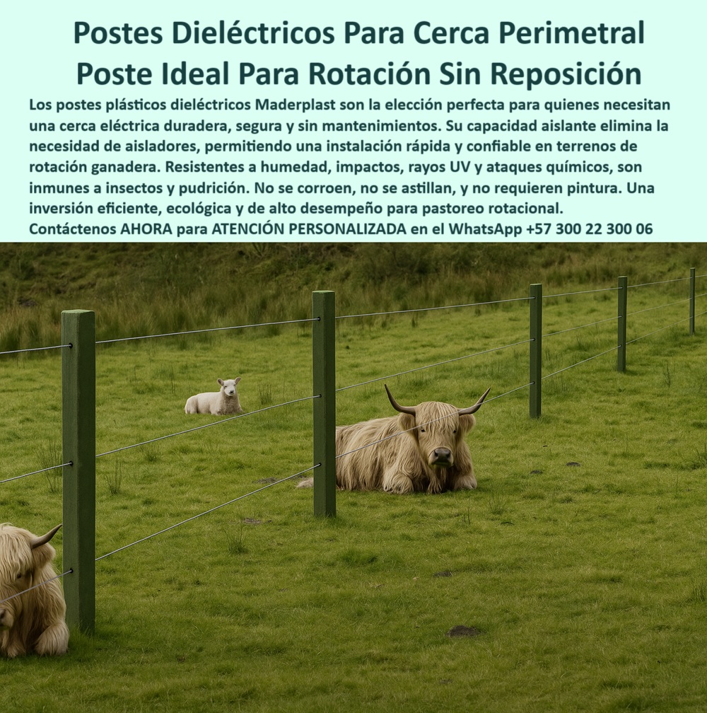 Cercados Con Alambre De Púas Postes Plásticos Púas Alambre Eléctrico Maderplast 0 poste plástico dieléctrico para cerca instalación de cerca perimetral con poste plástico Qué postes puedo usar si quiero rotar ganado sin cambiar  0 Cercados Con Alambre De Púas Postes Plásticos Púas Alambre Eléctrico Maderplast 0 poste plástico dieléctrico para cerca, - instalación de cerca perimetral con poste plástico, - Qué postes puedo usar si quiero rotar ganado sin cambiar 