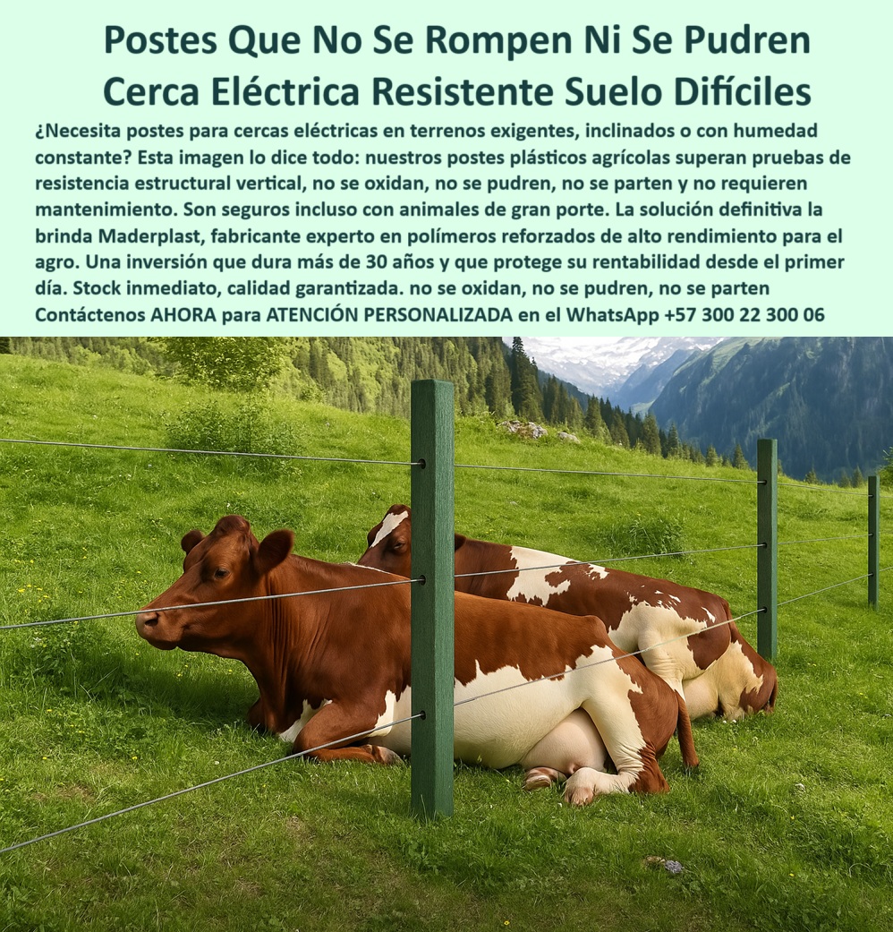 Cercados Con Alambre De Púas Postes Plásticos Púas Alambre Eléctrico Maderplast 0 postes eléctricos agrícolas tutor agrícola polímero cercas eléctricas en suelos postes Ensayo estructural de resistencia vertical en laboratorios 0 Cercados Con Alambre De Púas Postes Plásticos Púas Alambre Eléctrico Maderplast 0 postes eléctricos agrícolas, - tutor agrícola polímero, - cercas eléctricas en suelos  postes Ensayo estructural de resistencia vertical en laboratorios 