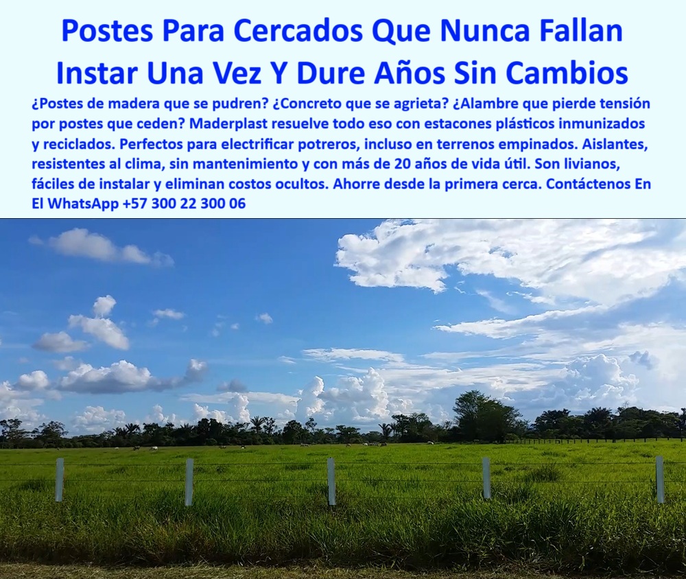 Cercados División De Potreros Pastoreo Intensivo Poste A 25 Metros Maderplast 0 Cuál es el mejor poste para electrificar potreros de larga vida perfiles inmunizados reciclados cerca para terreno empinado Estacón plástico fino 0 Cercados División De Potreros Pastoreo Intensivo Poste A 25 Metros Maderplast 0 Cuál es el mejor poste para electrificar potreros de larga vida, - perfiles-inmunizados-reciclados, - cerca para terreno empinado, - Estacón plástico fino