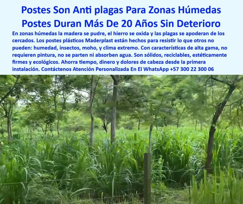 Cercados División De Potreros Pastoreo Intensivo Poste A 25 Metros Maderplast 0 poste contra plagas y humedad características de los postes plásticos de alta gama Dónde venden postes que duren 20 años en praderas húmedas PP Cercados División De Potreros Pastoreo Intensivo Poste A 25 Metros Maderplast 0 poste-contra-plagas-y-humedad, - características de los postes plásticos de alta gama, - Dónde venden postes que duren 20 años en praderas húmedas PP