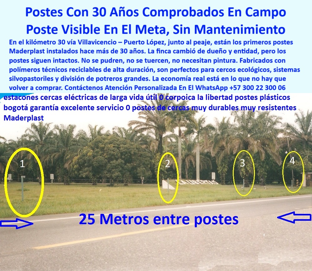 Cercas Perimetrales Postes De Linderos Medianeros Poste Límites Viales Maderplast 0 postes plásticos para cercos de ganado en zonas ecológicas postes técnicos para sistemas silvopastoriles poste plástico división potrero grande 0 Cercas Perimetrales Postes De Linderos Medianeros Poste Límites Viales Maderplast 0 postes plásticos para cercos de ganado en zonas ecológicas, - postes técnicos para sistemas silvopastoriles, - poste plástico división potrero grande,