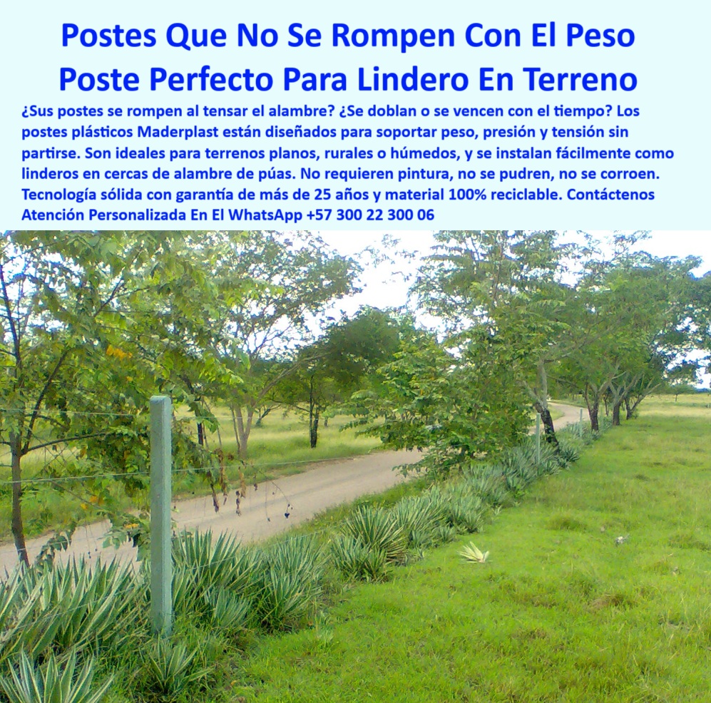 Cercas Perimetrales Postes De Linderos Medianeros Poste Límites Viales Maderplast 0 postes plásticos para terrenos planos rurales guía para instalar alambre de púas Existen postes plásticos que no se rompan con peso Linderos  0 Cercas Perimetrales Postes De Linderos Medianeros Poste Límites Viales Maderplast 0 postes plásticos para terrenos planos rurales, - guía para instalar alambre de púas, - Existen postes plásticos que no se rompan con peso, Linderos   