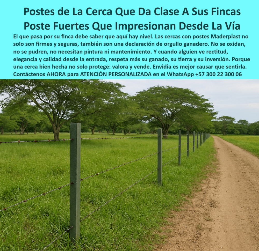 Cercas Viales Postes Postes Para Carreteras Vías Lineamientos Senderos Maderplast 0 postes plásticos con dimensiones personalizadas poste plástico alto rendimiento poste plástico tornillo postes reciclados cercas eléctricas 0 Cercas Viales Postes Postes Para Carreteras Vías Lineamientos Senderos Maderplast 0 postes plásticos con dimensiones personalizadas, - poste plástico alto rendimiento, - poste plástico tornillo, - postes reciclados cercas eléctricas 0