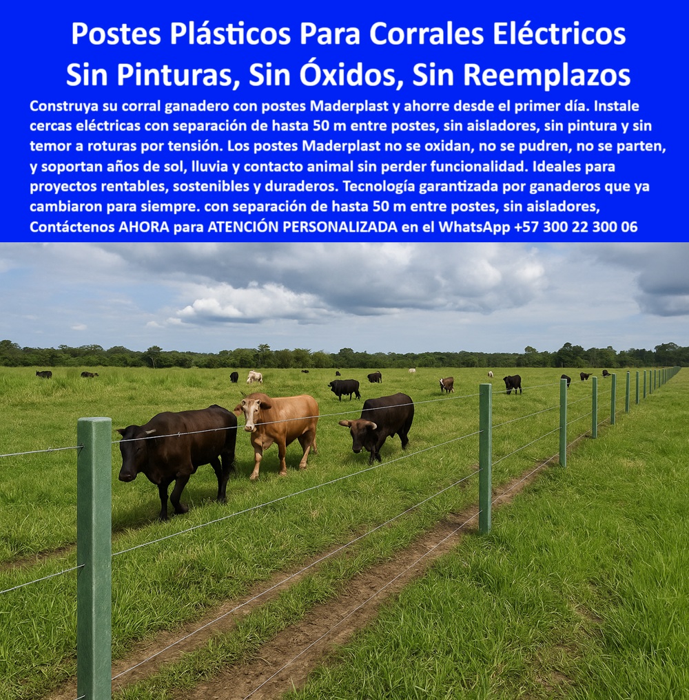 Cercas exteriores Cercados De Linderos Poste Plástico Dividir Separar Fincas Maderplast 0 Solución garantizada con tecnología Cómo construir un corral económico para ganado con cercas eléctricas postes sin necesidad de pintura ni  0 Cercas exteriores Cercados De Linderos Poste Plástico Dividir Separar Fincas Maderplast 0 Solución garantizada con tecnología Cómo construir un corral económico para ganado con cercas eléctricas, - postes sin necesidad de pintura ni 