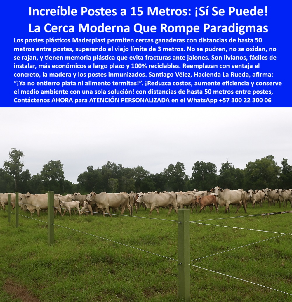 Cercas exteriores Cercados De Linderos Poste Plástico Dividir Separar Fincas Maderplast 0 estacón para Linderos tecnificados cercas con postes que no se quiebran Linderos 00 Cercas exteriores Cercados De Linderos Poste Plástico Dividir Separar Fincas Maderplast 0 estacón para Linderos tecnificados, - cercas con postes que no se quiebran Linderos, - 00