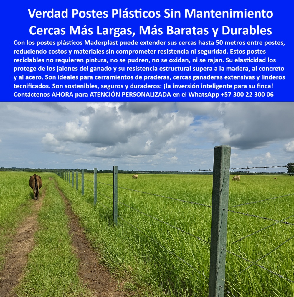 Cercas exteriores Cercados De Linderos Poste Plástico Dividir Separar Fincas Maderplast 0 estructura plástica para cercado eficiente postes reciclados para cercado extensivo postes sin mantenimiento para cierre de pradera postes 0 Cercas exteriores Cercados De Linderos Poste Plástico Dividir Separar Fincas Maderplast 0 estructura plástica para cercado eficiente, - postes reciclados para cercado extensivo, - postes sin mantenimiento para cierre de pradera postes