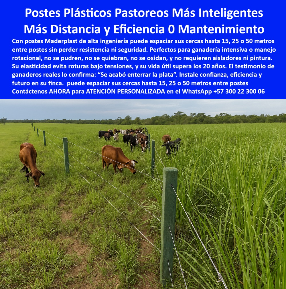 Cercas exteriores Cercados De Linderos Poste Plástico Dividir Separar Fincas Maderplast 0 postes plásticos para pastoreo rotacional eficiente postes seguros manejo de animales Qué cerca usar en ganadería intensiva sin mantener 0 Cercas exteriores Cercados De Linderos Poste Plástico Dividir Separar Fincas Maderplast 0 postes plásticos para pastoreo rotacional eficiente, - postes seguros manejo de animales, - Qué cerca usar en ganadería intensiva sin mantener