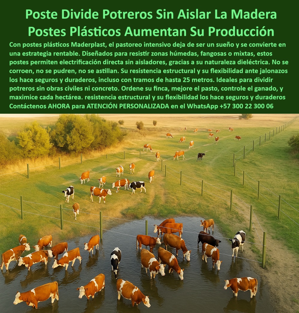 Cómo Dividir Potrero Para Ganado Con Cercas Eléctricas Postes Cercados Maderplast 0 eléctricas sin aisladores Dividir Potrero poste plástico ganadero Dividir Potrero cercado eficiente para pasto mixto Dividir Potrero alternativo 0 Cómo Dividir Potrero Para Ganado Con Cercas Eléctricas Postes Cercados Maderplast 0 eléctricas-sin-aisladores Dividir Potrero, - poste plástico ganadero Dividir Potrero, - cercado eficiente para pasto mixto Dividir Potrero alternativo