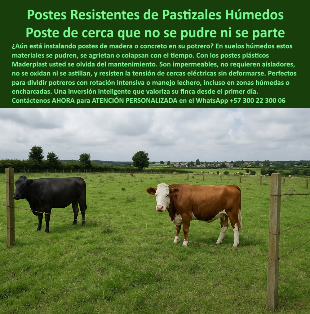 Cómo Dividir Potrero Para Ganado Con Cercas Eléctricas Postes Cercados Maderplast 0 instalación de cercas en pastizales húmedos poste plástico cercas Dividir Potrero Dónde encuentro madera ecológica para Dividir Potrero broches 0 Cómo Dividir Potrero Para Ganado Con Cercas Eléctricas Postes Cercados Maderplast 0 instalación de cercas en pastizales húmedos, - poste plástico cercas Dividir Potrero, - Dónde encuentro madera ecológica para Dividir Potrero, broches