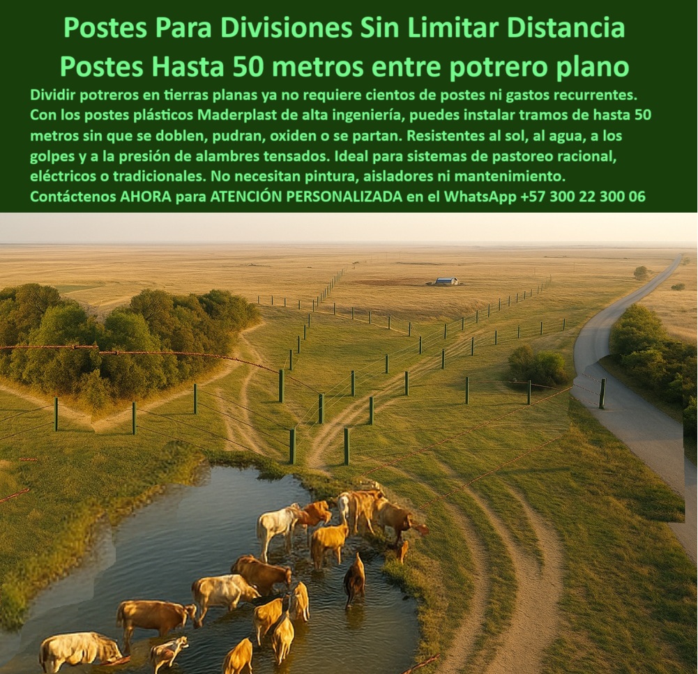 Cómo Dividir Potrero Para Ganado Con Cercas Eléctricas Postes Cercados Maderplast 0 poste plástico para tierras planas postes resistentes para terrenos planos Cuál es el poste más económico para cercas rurales Cómo Dividir Pot  Cómo Dividir Potrero Para Ganado Con Cercas Eléctricas Postes Cercados Maderplast 0 poste plástico para tierras planas, - postes-resistentes-para-terrenos-planos, - Cuál es el poste más económico para cercas rurales, Cómo Dividir Pot 