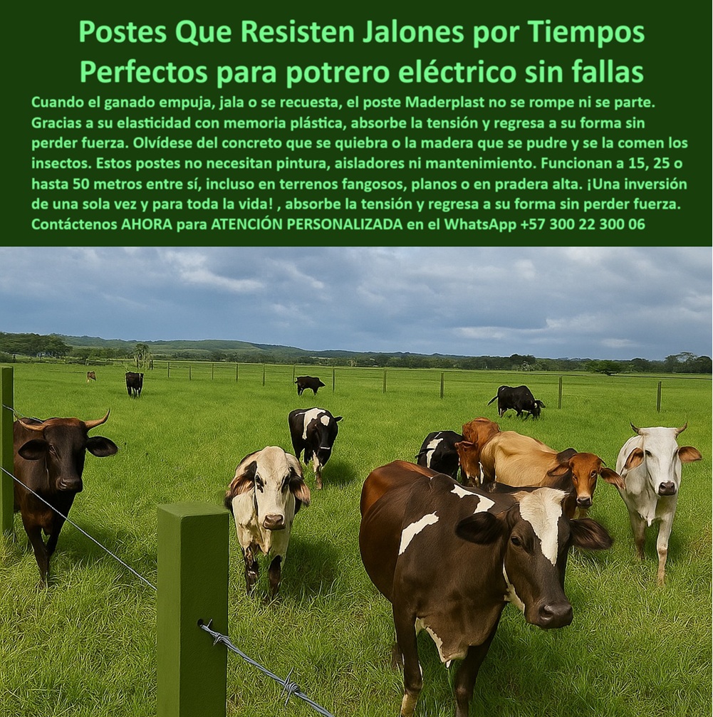 Cómo Dividir Potrero Para Ganado Con Cercas Eléctricas Postes Cercados Maderplast 0 postes PET reciclado alta resistencia postes plásticos resistentes para cerca ganadera Qué poste es mejor para cercas eléctricas rurales postes 0 Cómo Dividir Potrero Para Ganado Con Cercas Eléctricas Postes Cercados Maderplast 0 postes PET reciclado alta resistencia, - postes plásticos resistentes para cerca ganadera, - Qué poste es mejor para cercas eléctricas rurales, postes