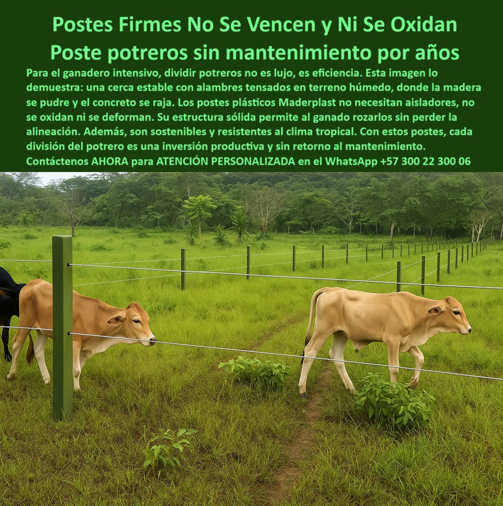 Cómo Dividir Potrero Para Ganado Con Cercas Eléctricas Postes Cercados Maderplast 0 temple cerca eléctrica soluciones de cerramiento sostenible estacón para Dividir Potrero vigas recicladas para cerramientos instalación PP 0 Cómo Dividir Potrero Para Ganado Con Cercas Eléctricas Postes Cercados Maderplast 0 temple cerca eléctrica, - soluciones-de-cerramiento-sostenible, - estacón para Dividir Potrero, - vigas-recicladas-para-cerramientos, - instalación PP