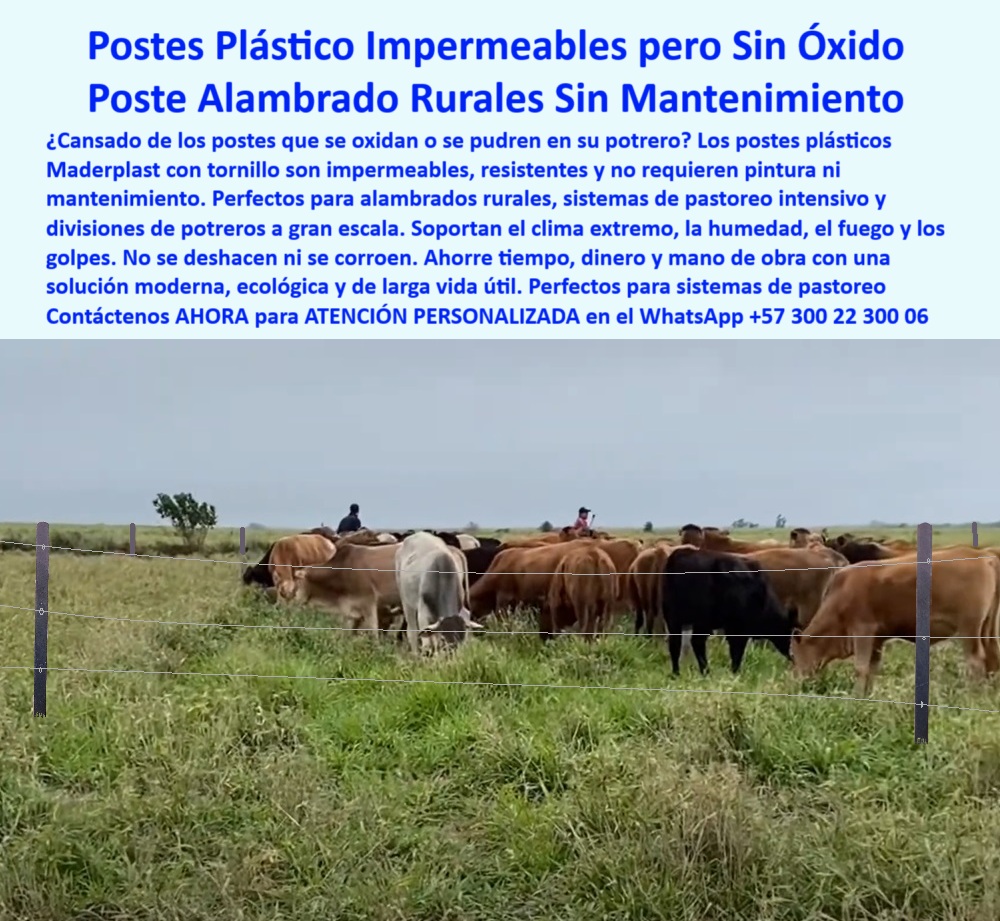 División De Potreros Grandes Extensiones Pastoreo Extensivo A 25 Metros Maderplast 0 instalación de alambrado rural poste plástico con tornillo instalación madrina postes plásticos impermeables poste sin oxidación sin óxidos 0   División De Potreros Grandes Extensiones Pastoreo Extensivo A 25 Metros Maderplast 0 instalación de alambrado rural poste plástico con tornillo instalación madrina postes plásticos impermeables poste sin oxidación sin óxidos 0   
