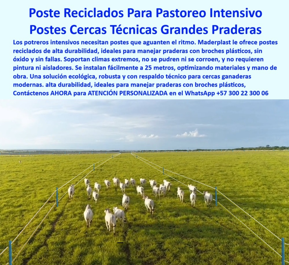 División De Potreros Grandes Extensiones Pastoreo Extensivo A 25 Metros Maderplast 0 poste reciclado para potrero intensivo Cerca técnica instalada con postes de alta durabilidad poste manejo de praderas broches plásticos 00  División De Potreros Grandes Extensiones Pastoreo Extensivo A 25 Metros Maderplast 0 poste reciclado para potrero intensivo, - Cerca técnica instalada con postes de alta durabilidad, - poste manejo de praderas  broches plásticos 00 