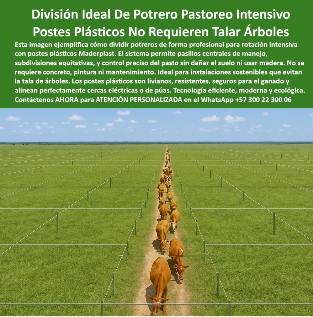 División profesional de cerca ganadera postes pastoreo postes ganaderos Maderplast 0 Qué postes sirven para evitar la tala de árboles en cerramientos estacas plásticas para praderas intensivas Corral portátil con postes plástico 0 División profesional de cerca ganadera postes pastoreo postes ganaderos Maderplast 0 Qué postes sirven para evitar la tala de árboles en cerramientos, - estacas plásticas para praderas intensivas, - Corral portátil con postes plástico