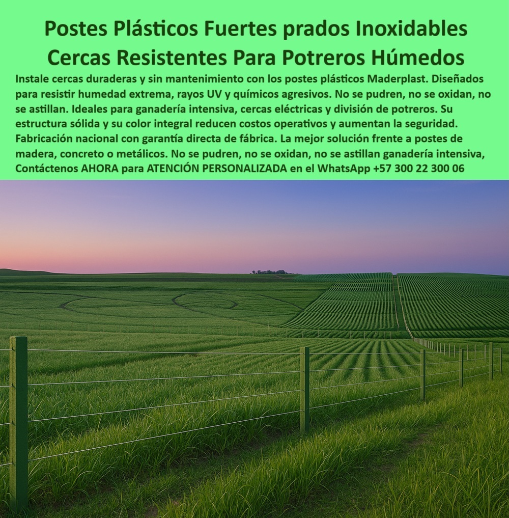 División profesional de cerca ganadera postes pastoreo postes ganaderos Maderplast 0 cercas eléctricas resistentes en terrenos húmedos postes con garantía directa de fábrica Colombia poste plástico potrero húmedo poste División  0 División profesional de cerca ganadera postes pastoreo postes ganaderos Maderplast 0 cercas eléctricas resistentes en terrenos húmedos, - postes con garantía directa de fábrica Colombia, - poste plástico potrero húmedo poste División 