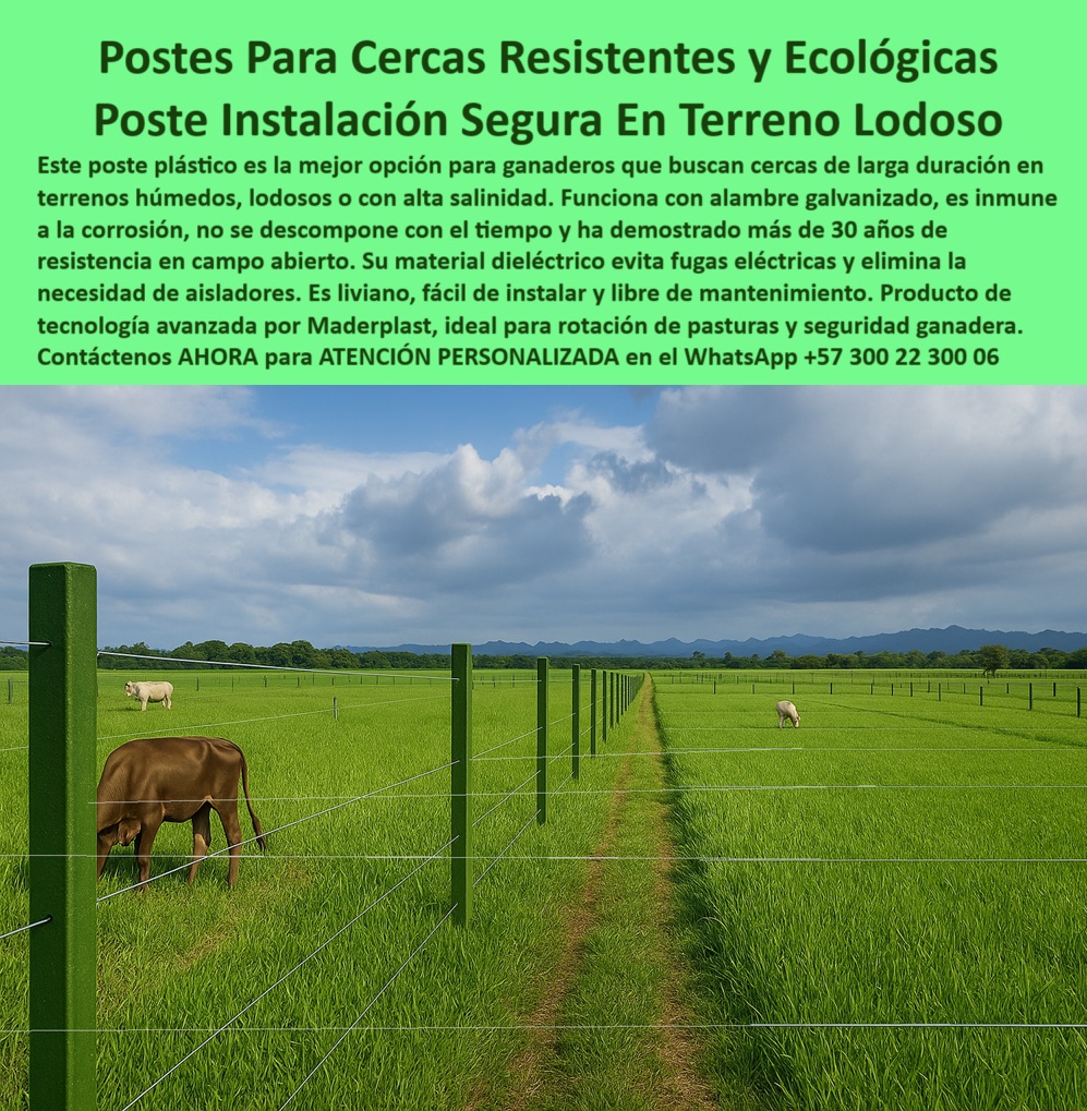División profesional de cerca ganadera postes pastoreo postes ganaderos Maderplast 0 instalación de cercas en lodo postes de cerca para alambre de acero galvanizado Poste plástico instalado hace 30 años campo abierto División 0 División profesional de cerca ganadera postes pastoreo postes ganaderos Maderplast 0 instalación-de-cercas-en-lodo, - postes de cerca para alambre de acero galvanizado, - Poste plástico instalado hace 30 años campo abierto, - División