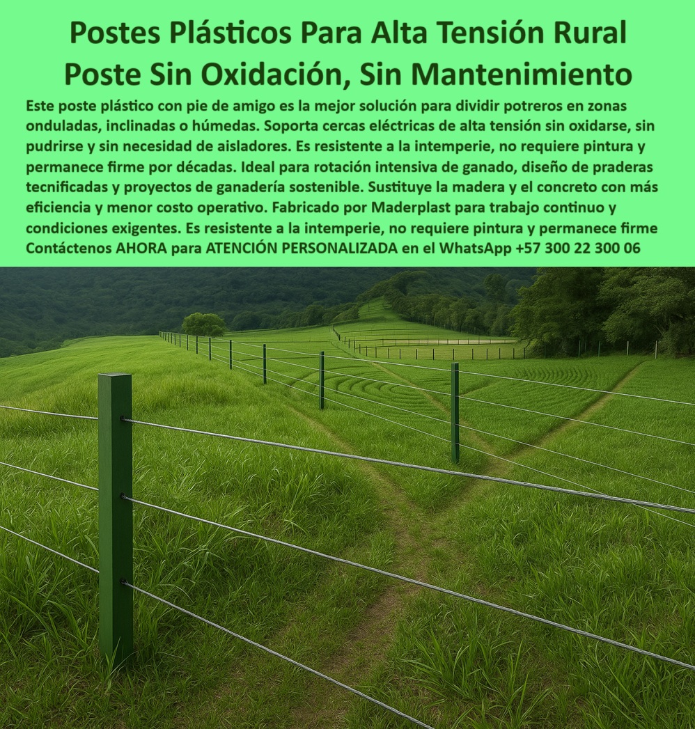 División profesional de cerca ganadera postes pastoreo postes ganaderos Maderplast 0 poste con pie de amigo alta tensión postes resistentes sin mantenimiento cercas eléctricas sin oxidación ni corrosión tipo de poste División 0 División profesional de cerca ganadera postes pastoreo postes ganaderos Maderplast 0 poste con pie de amigo alta tensión, - postes resistentes sin mantenimiento, - cercas eléctricas sin oxidación ni corrosión, - tipo de poste División