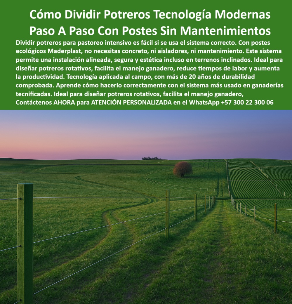 División profesional de cerca ganadera postes pastoreo postes ganaderos Maderplast 0 postes ecológicos para ganadería Qué poste dura más de 20 años sin mantenimiento Maderplast la solución proveedor de postes reciclados División  0 División profesional de cerca ganadera postes pastoreo postes ganaderos Maderplast 0 postes ecológicos para ganadería, - ¿Qué poste dura más de 20 años sin mantenimiento, Maderplast la solución proveedor de postes reciclados División 
