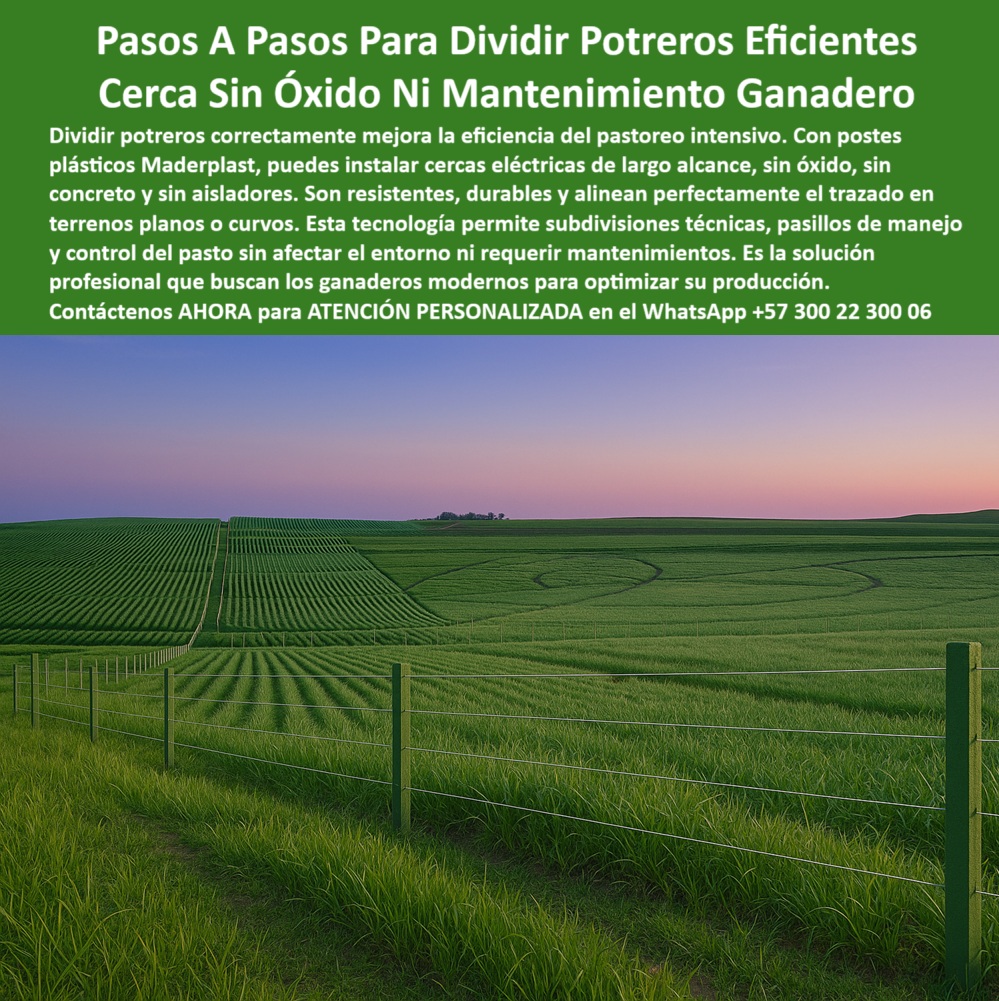 División profesional de cerca ganadera postes pastoreo postes ganaderos Maderplast 0 postes sin óxido para cercado bovino postes plásticos para cerca eléctrica paso a paso poste plástico industrial cercas eléctricas resistentes 0 División profesional de cerca ganadera postes pastoreo postes ganaderos Maderplast 0 postes sin óxido para cercado bovino, - postes plásticos para cerca eléctrica paso a paso, - poste-plástico-industrial, cercas eléctricas resistentes