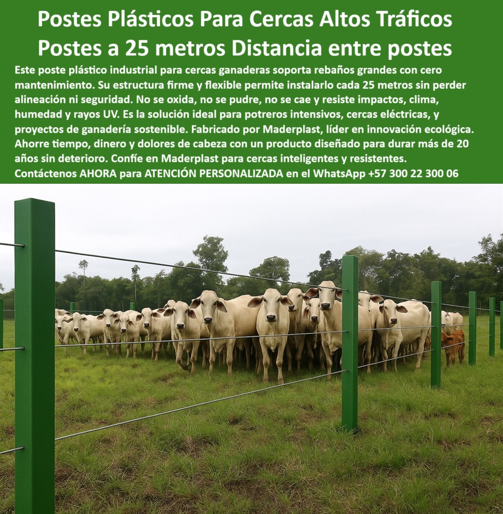 Manejo De Ganado Potrero Intensivo Grandes Rebaños Poste A 25 Metros Maderplast Manejo De Ganado Potrero Intensivo Grandes Rebaños Poste A 25 Metros Maderplast 0 cómo construir cerca con postes de plástico 00 Manejo De Ganado Potrero Intensivo Grandes Rebaños Poste A 25 Metros Maderplast Manejo De Ganado Potrero Intensivo Grandes Rebaños Poste A 25 Metros Maderplast 0 cómo construir cerca con postes de plástico, - 00