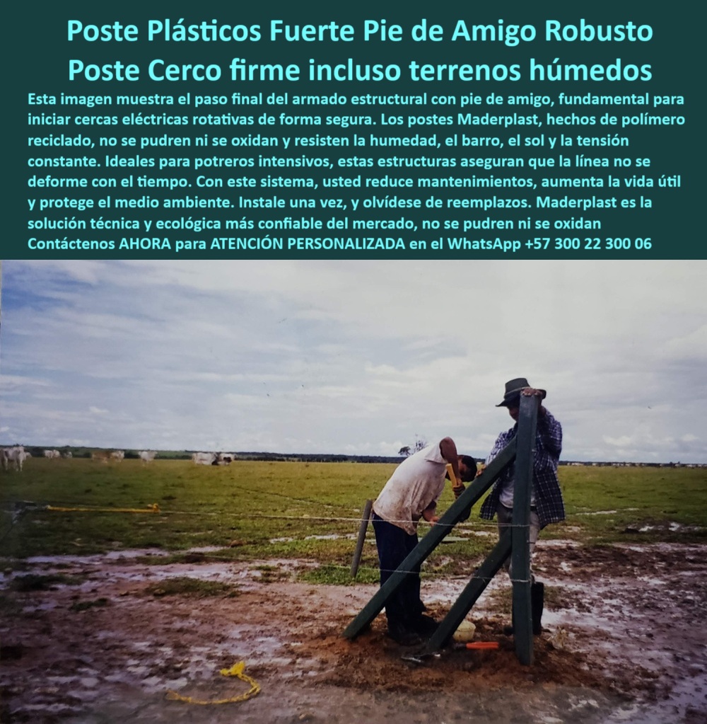 Paso A Paso Diseño Eficiente De Cercas Eléctricas Postes Dieléctricos Maderplast 0 Instalación de postes plásticos en zonas pecuarias cerco eléctrico con postes de polímero reciclado ajuste final de cuerda en cercas postes PP 0 Paso A Paso Diseño Eficiente De Cercas Eléctricas Postes Dieléctricos Maderplast 0 Instalación de postes plásticos en zonas pecuarias, - cerco eléctrico con postes de polímero reciclado, - ajuste final de cuerda en cercas, - postes PP