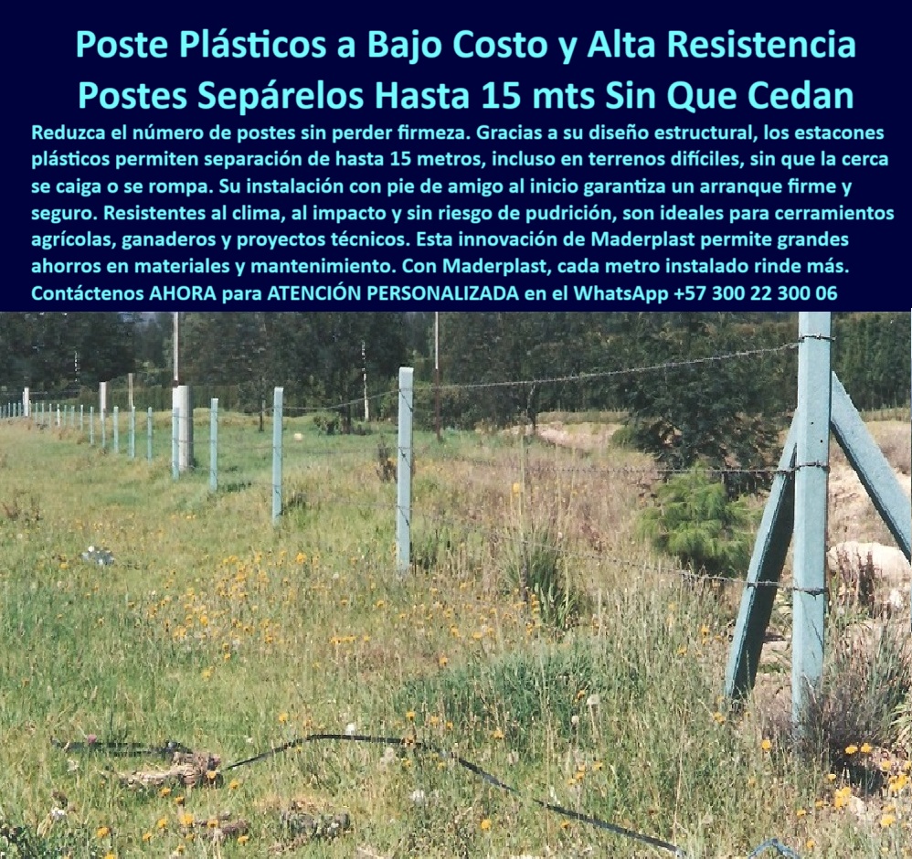 Pie De Amigo Poste De Arranque Poste De Puerta Postes De Broches Maderplast 0 estructuras modulares para agricultura técnica poste plástico para licitación Postes instalados sin pudrirse ni romperse poste división de potrero 0 Pie De Amigo Poste De Arranque Poste De Puerta Postes De Broches Maderplast 0 estructuras modulares para agricultura técnica, - poste plástico para licitación, - Postes instalados sin pudrirse ni romperse, - poste división de potrero