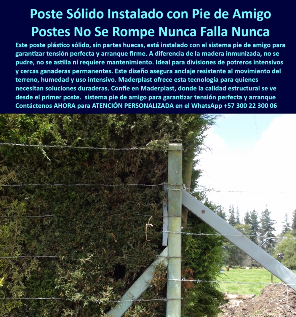 Pie De Amigo Poste De Arranque Poste De Puerta Postes De Broches Maderplast 0 poste plástico sólido sin partes huecas sustitutos de madera inmunizada para cercas postes plásticos para cerca de ganado intensivo tipos de postes 0 Pie De Amigo Poste De Arranque Poste De Puerta Postes De Broches Maderplast 0 poste plástico sólido sin partes huecas, - sustitutos de madera inmunizada para cercas, - postes plásticos para cerca de ganado intensivo, - tipos de postes