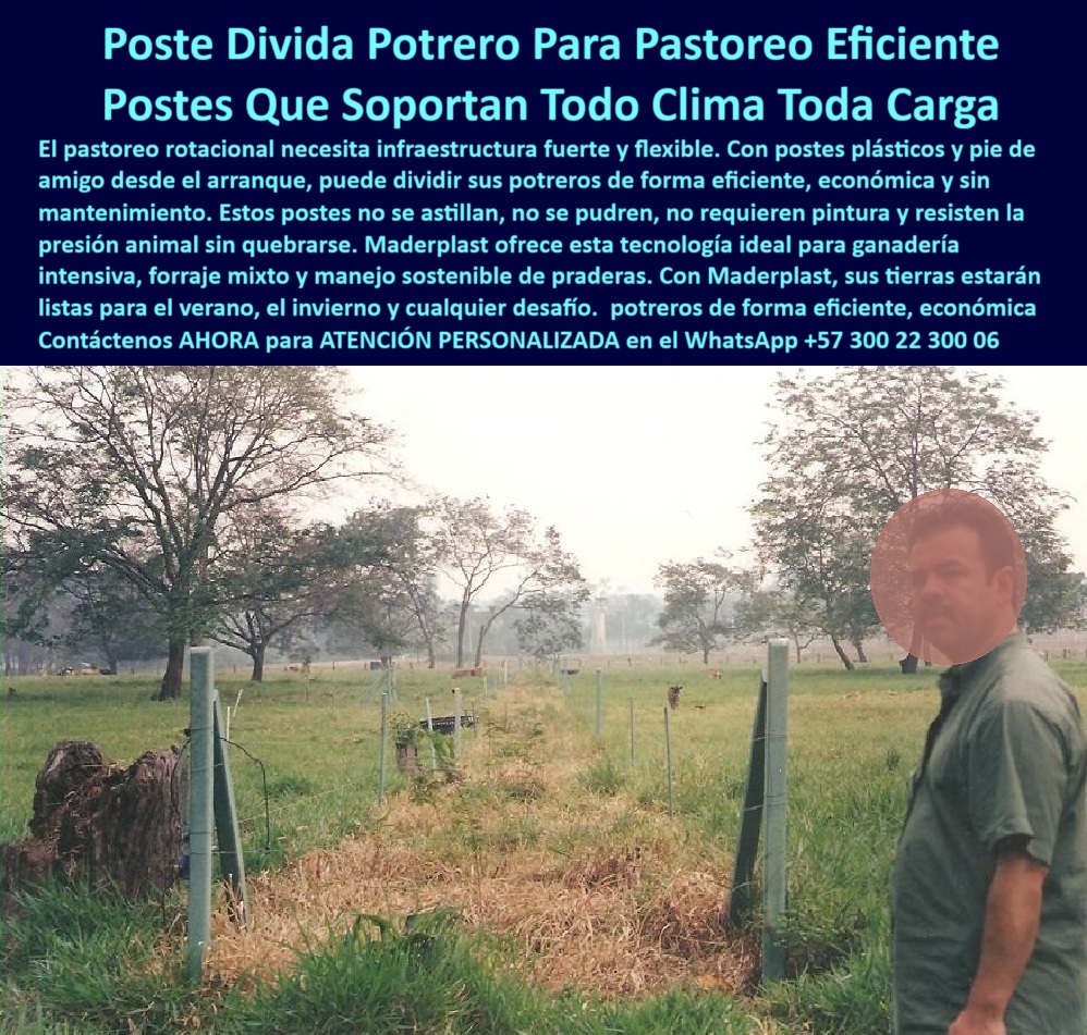 Pie De Amigo Poste De Arranque Poste De Puerta Postes De Broches Maderplast 0 postes plásticos en concreto reciclado para cercas rurales postes plásticos para linderos Cierre plástico rural resistente al ganado y al clima Sol 0 Pie De Amigo Poste De Arranque Poste De Puerta Postes De Broches Maderplast 0 postes plásticos en concreto reciclado para cercas rurales, - postes-plásticos-para-linderos, - Cierre plástico rural resistente al ganado y al clima, - Sol