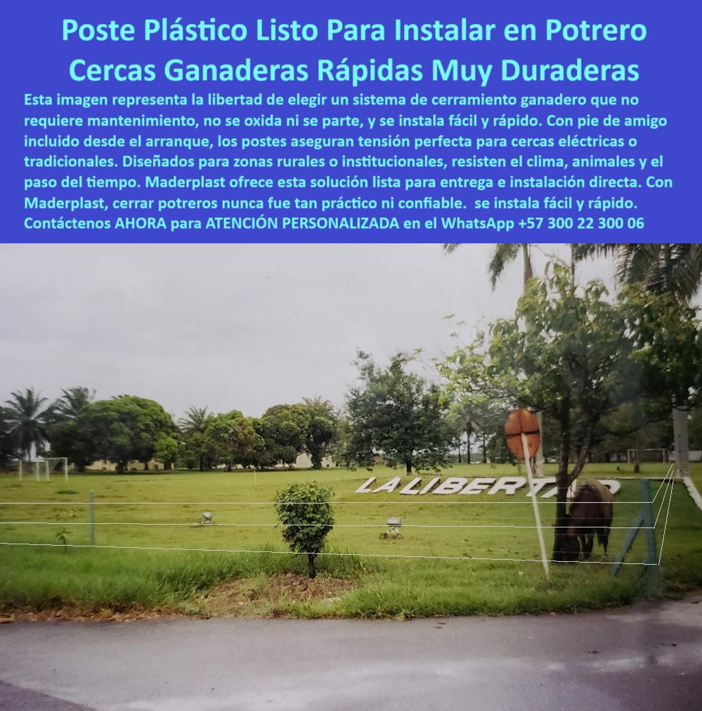 Pie De Amigo Poste De Arranque Poste De Puerta Postes De Broches Maderplast 0 tipos de postes plásticos para cerramientos Dónde comprar postes para instalar cerca ganadera fácil sistemas productivos con cerca eléctrica PP 0 Pie De Amigo Poste De Arranque Poste De Puerta Postes De Broches Maderplast 0 tipos de postes plásticos para cerramientos, - Dónde comprar postes para instalar cerca ganadera fácil, - sistemas productivos con cerca  eléctrica, PP