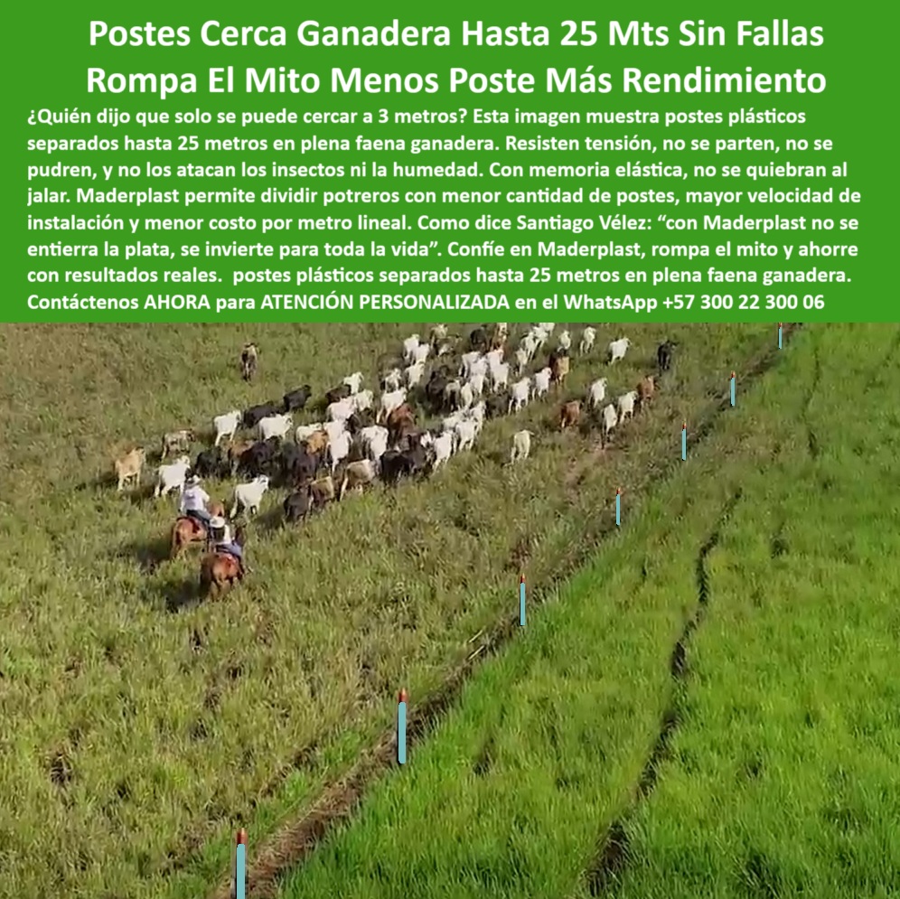 Poste Cercado Poste Perimetral Poste Delimitador Poste Rollizo Fazenda Maderplast 0 cerca perimetral sin pudrición ni oxidación cerca en reserva natural 00 Poste Cercado Poste Perimetral Poste Delimitador Poste Rollizo Fazenda Maderplast 0 cerca perimetral sin pudrición ni oxidación, - cerca-en-reserva-natural, - 00