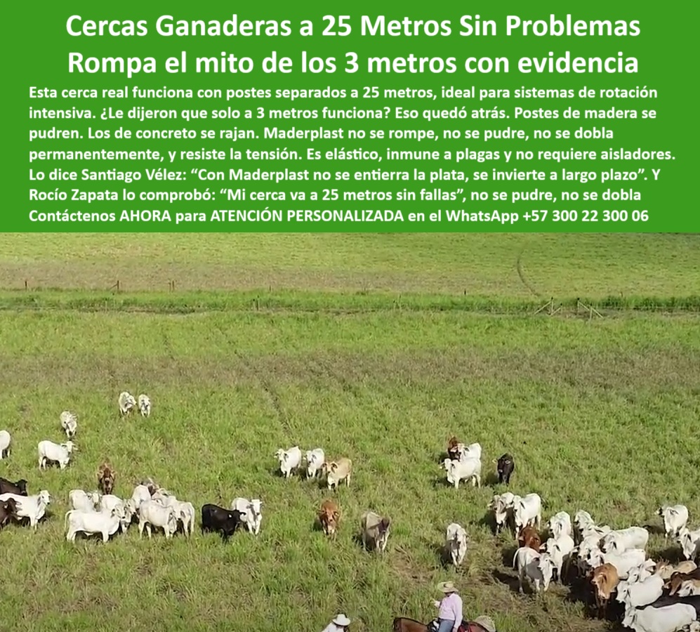 Poste Cercado Poste Perimetral Poste Delimitador Poste Rollizo Fazenda Maderplast 0 cercas con función de soporte Cuál es el mejor sistema para rotación de potreros La respuesta que buscas la tiene Maderplast Puedo usar varas PP 0 Poste Cercado Poste Perimetral Poste Delimitador Poste Rollizo Fazenda Maderplast 0 cercas-con-función-de-soporte, - Cuál es el mejor sistema para rotación de potreros, - La respuesta que buscas la tiene Maderplast Puedo usar varas PP