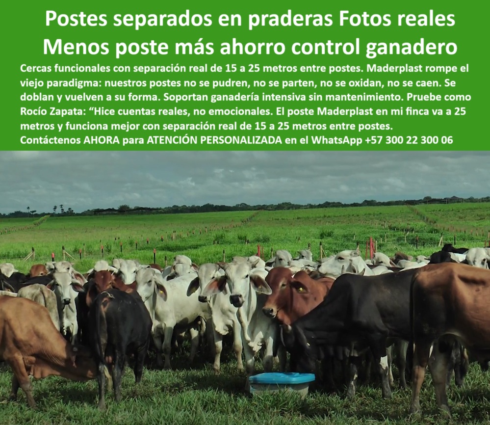 Poste Cercado Poste Perimetral Poste Delimitador Poste Rollizo Fazenda Maderplast 0 cómo instalar alambre de púas con grapas cerca para ganadería estacas plásticas para división de potreros Pradera cerrada con postes plástico 0 Poste Cercado Poste Perimetral Poste Delimitador Poste Rollizo Fazenda Maderplast 0 cómo instalar alambre de púas con grapas, - cerca-para-ganadería, - estacas plásticas para división de potreros, - Pradera cerrada con postes plástico