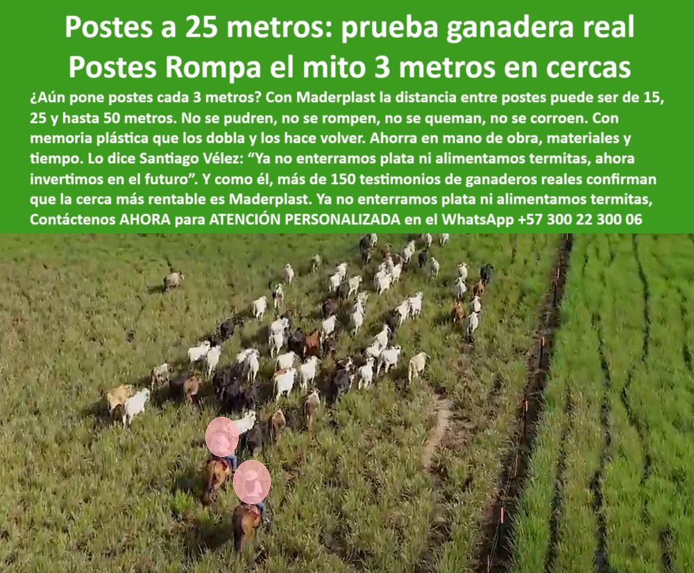 Poste Cercado Poste Perimetral Poste Delimitador Poste Rollizo Fazenda Maderplast 0 estructura plástica división de lotes seguridad en cercas anti incendio cerca perimetral sin pudrición ni oxidación cerca en reserva natural  0 Poste Cercado Poste Perimetral Poste Delimitador Poste Rollizo Fazenda Maderplast 0 estructura plástica división de lotes, - seguridad-en-cercas-anti-incendio, - cerca perimetral sin pudrición ni oxidación, - cerca-en-reserva-natural 