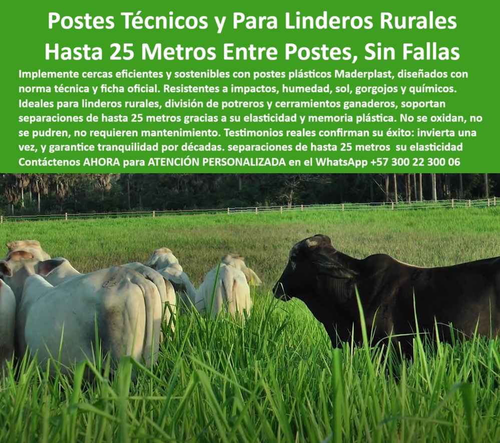 Poste Cercado Poste Perimetral Poste Delimitador Poste Rollizo Fazenda Maderplast 0 postes plásticos para cercas de linderos rurales compra de postes plásticos con ficha técnica oficial componente plástico con norma técnica 0 0 Poste Cercado Poste Perimetral Poste Delimitador Poste Rollizo Fazenda Maderplast 0 postes plásticos para cercas de linderos rurales, - compra de postes plásticos con ficha técnica oficial, - componente plástico con norma técnica, - 0