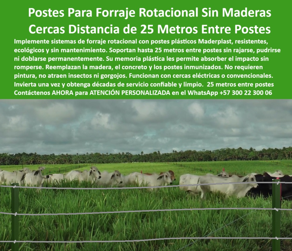 Poste Cercado Poste Perimetral Poste Delimitador Poste Rollizo Fazenda Maderplast 0 postes resistentes para forraje rotacional poste electro plástico resistente cercas plasticas para praderas cercas para linderos compartidos 0 Poste Cercado Poste Perimetral Poste Delimitador Poste Rollizo Fazenda Maderplast 0 postes resistentes para forraje rotacional, - poste-electro-plástico-resistente, - cercas-plásticas-para-praderas, - cercas-para-linderos-compartidos,