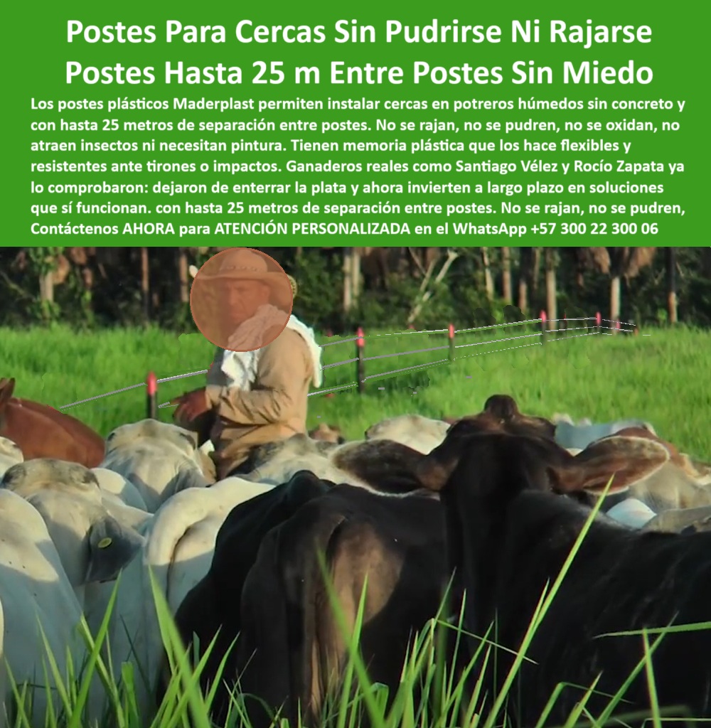 Poste Cercado Poste Perimetral Poste Delimitador Poste Rollizo Fazenda Maderplast 0 separación de potreros sin concreto poste cerca húmeda Qué poste necesita menos mantenimiento en potreros cercas con pie de amigo Poste Cerca 0 Poste Cercado Poste Perimetral Poste Delimitador Poste Rollizo Fazenda Maderplast 0 separación de potreros sin concreto, - poste cerca húmeda, - Qué poste necesita menos mantenimiento en potreros, - cercas con pie de amigo Poste Cerca
