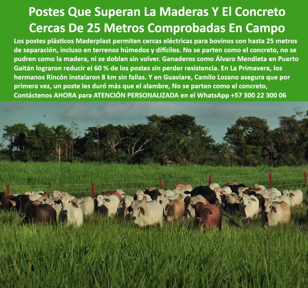 Poste Cercado Poste Perimetral Poste Delimitador Poste Rollizo Fazenda Maderplast 0 varas plásticas para cerca eléctrica bovina solución ecológica con ensayo técnico concreto plástico para zonas húmedas plástico reciclado PP Poste Cercado Poste Perimetral Poste Delimitador Poste Rollizo Fazenda Maderplast 0 varas plásticas para cerca  eléctrica bovina, - solución-ecológica-con-ensayo-técnico, - concreto-plástico-para-zonas-húmedas, - plástico reciclado PP