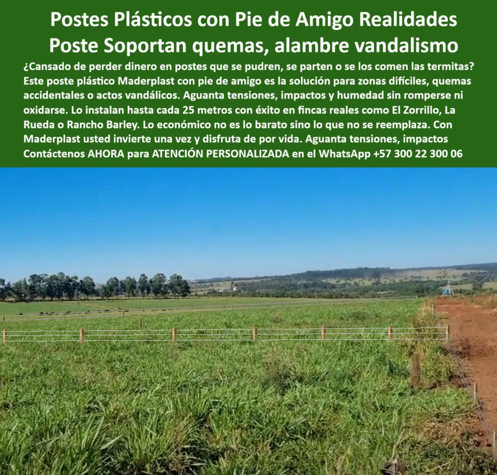 Poste Para Cerco Eléctrico Poste De Alambre Púa Distancia A 25 Mts Maderplast 0 Poste plástico con pie de amigo instalado en finca Existe un poste que soporte quemas o vandalismo perfiles sintéticos para proyectos sostenibles  0 Poste Para Cerco Eléctrico Poste De Alambre Púa Distancia A 25 Mts Maderplast 0 Poste plástico con pie de amigo instalado en finca, - ¿Existe un poste que soporte quemas o vandalismo, - perfiles sintéticos para proyectos sostenibles, 