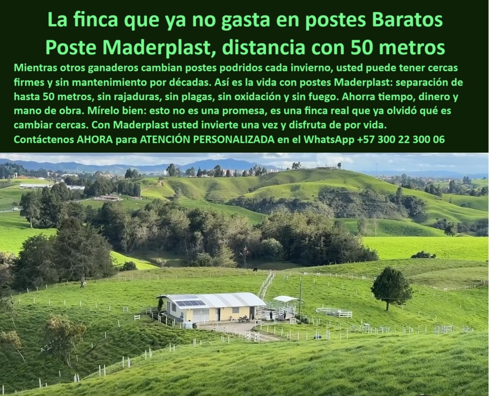 Poste Para Cerco Eléctrico Poste De Alambre Púa Distancia A 25 Mts Maderplast 0 poste plástico resistente para ganado postes de polímero anti fuego poste ecológico con 50 metros de separación poste reciclado alta resistencia 0 Poste Para Cerco Eléctrico Poste De Alambre Púa Distancia A 25 Mts Maderplast 0 poste-plástico-resistente-para-ganado, - postes de polímero anti fuego, - poste ecológico con 50 metros de separación, - poste-reciclado-alta-resistencia