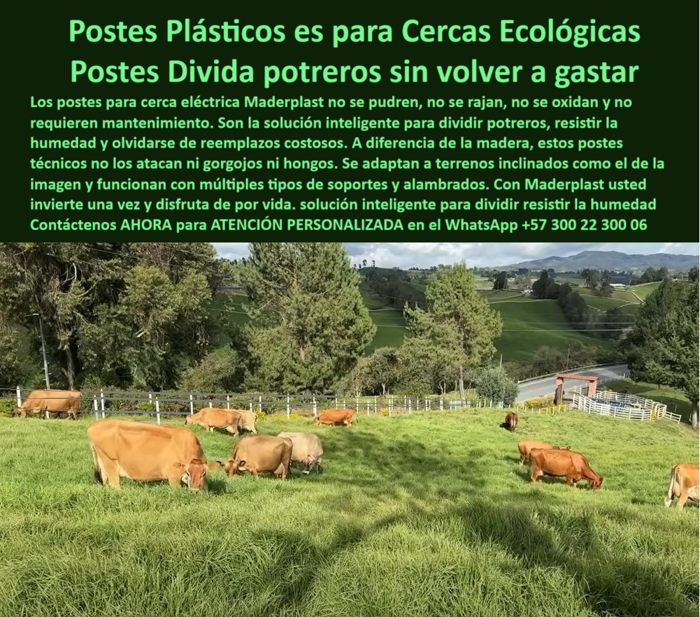 Poste Para Cerco Eléctrico Poste De Alambre Púa Distancia A 25 Mts Maderplast 0 poste soluciones ecológicas con madera plástica técnica estacón plástico con soporte 00 Poste Para Cerco Eléctrico Poste De Alambre Púa Distancia A 25 Mts Maderplast 0 poste soluciones ecológicas con madera plástica técnica, - estacón plástico con soporte 00