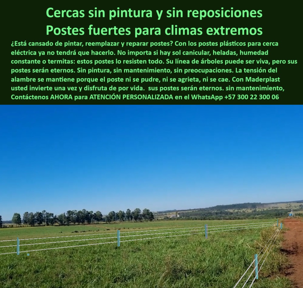 Poste Para Cerco Eléctrico Poste De Alambre Púa Distancia A 25 Mts Maderplast 0 postes resistentes para líneas de árboles vivos mantenimiento tensión cerca ganadera poste plástico climas extremos sin pintura postes plástico 0  Poste Para Cerco Eléctrico Poste De Alambre Púa Distancia A 25 Mts Maderplast 0 postes resistentes para líneas de árboles vivos mantenimiento tensión cerca ganadera poste plástico climas extremos sin pintura postes plástico 0   