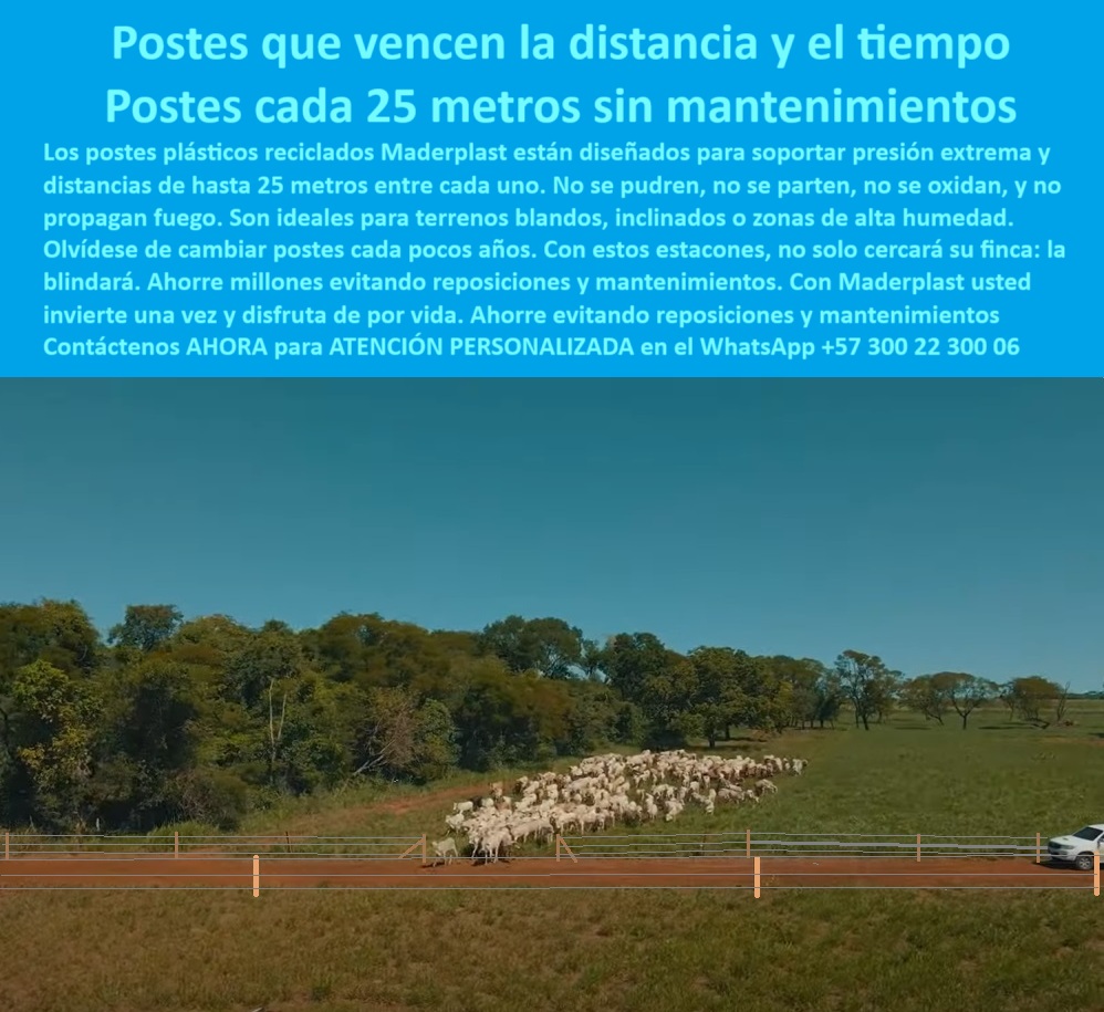 Poste Para Cerco Eléctrico Poste De Alambre Púa Distancia A 25 Mts Maderplast 0 tipos de postes plásticos estacones que soportan presión extrema cómo cercar terrenos altos con eficiencia posteaduras durables para alambre púa  Poste Para Cerco Eléctrico Poste De Alambre Púa Distancia A 25 Mts Maderplast 0 tipos-de-postes-plásticos, - estacones que soportan presión extrema, - cómo cercar terrenos altos con eficiencia, - posteaduras durables para alambre púa 