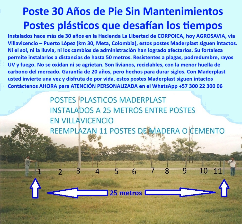 Postes Análisis Materiales Estudio Apu Precios Ventajas Beneficios Postes Maderplast 0 poste plástico resistente a plagas Postes plásticos para sistema de pastoreo intensivo poste para barda poste liviano con soporte poste 0 Postes Análisis Materiales Estudio Apu Precios Ventajas Beneficios Postes Maderplast 0 poste plástico resistente a plagas, - Postes plásticos para sistema de pastoreo intensivo, - poste para barda, - poste-liviano-con-soporte, - poste
